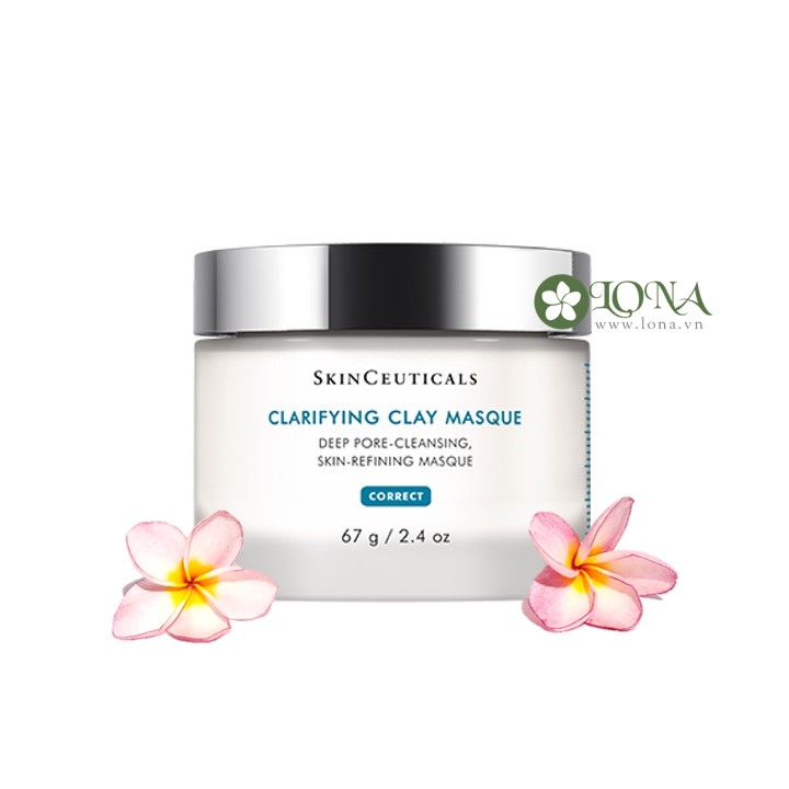  SkinCeuticals Clay Mask 