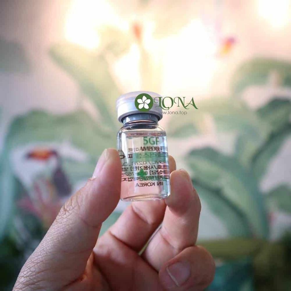 collagen phục hồi hàng rào bảo vệ da
