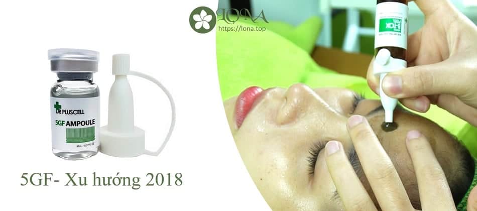 Vi kim tảo biển Dr PlusCell