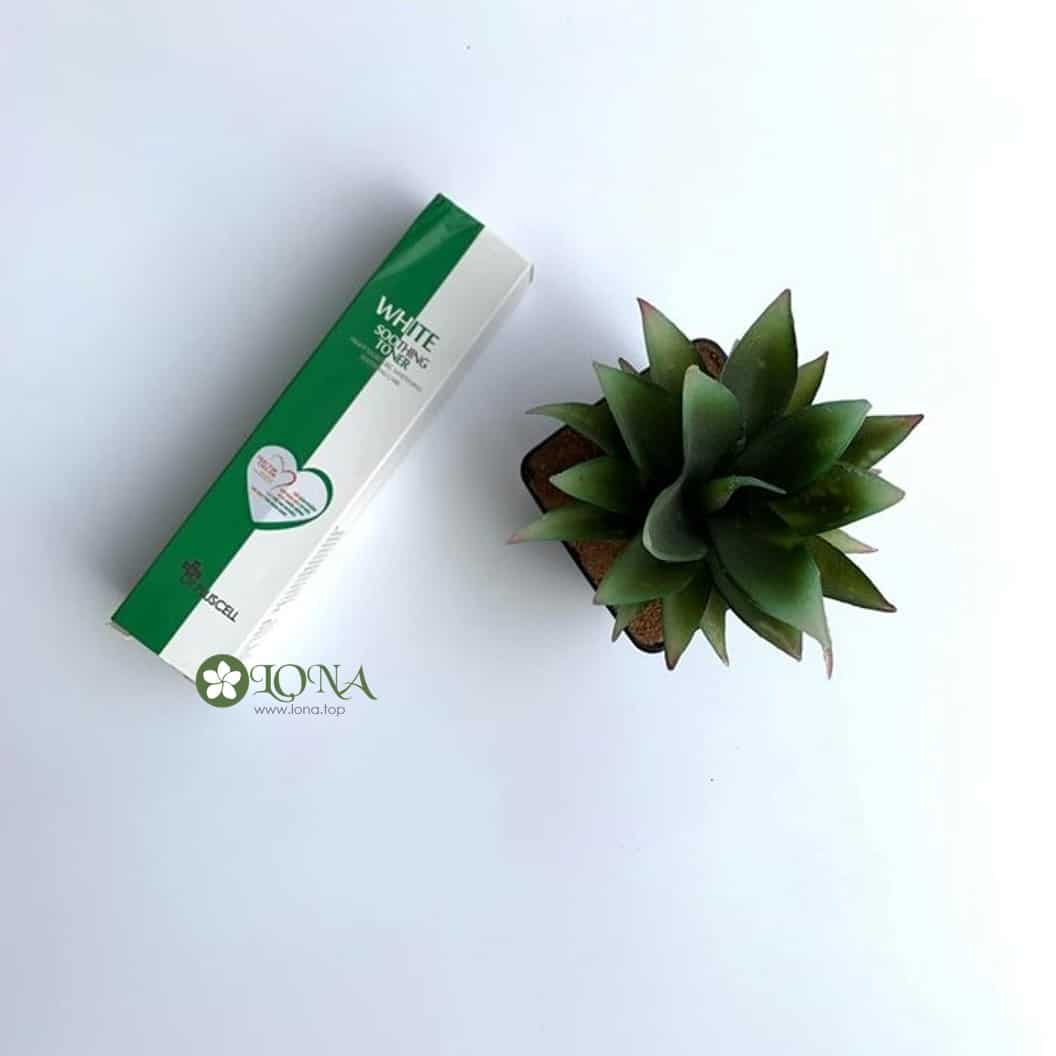 niacinamide giảm nám và đốm sắc tố