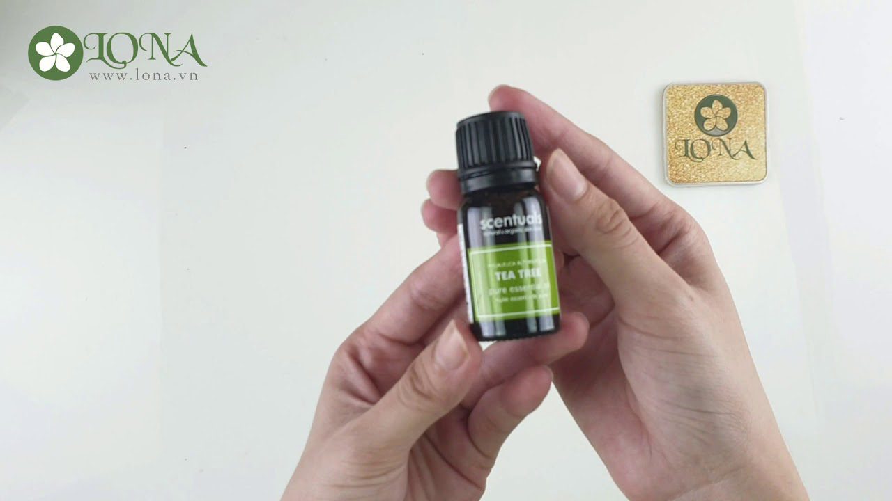 sản phẩm chăm sóc làm sạch gàu da đầu Scentuals