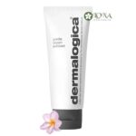 TTBC Dermalogica Gentle Cream Exfoliant