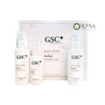 Bộ sản phẩm GSC Ance Stop Perfect 4 week Care