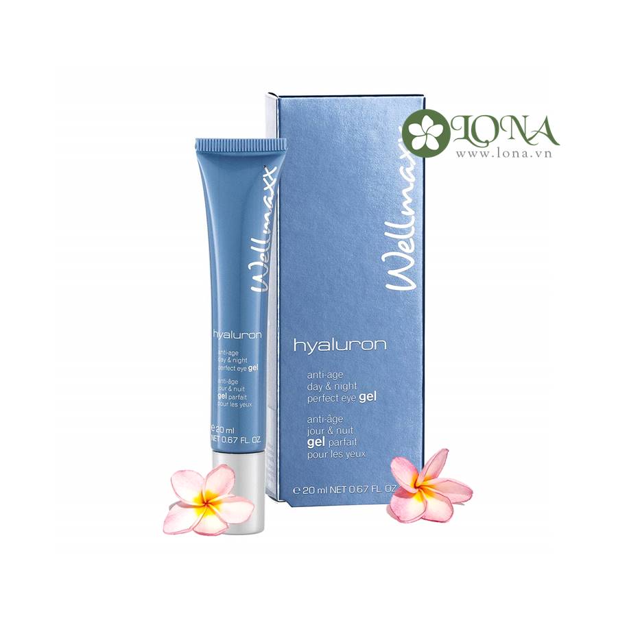 Gel dưỡng mắt Wellmaxx Hyaluron Anti Age & Night Perfect Eye