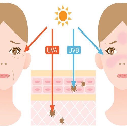 Kem chống nắng SILC SHEER 2.0 BROAD SPECTRUM SPF NEOVA - hình ảnh cuối bài