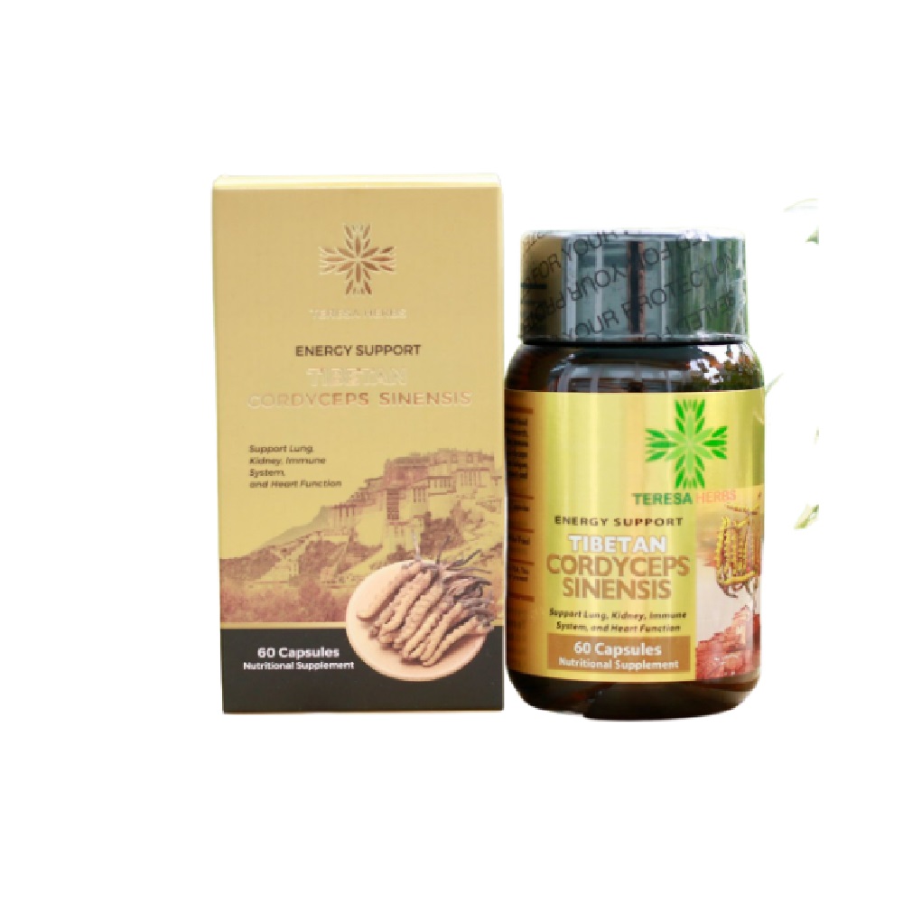 Coriolus versicolor công dụng và cách dùng
