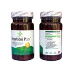 Hepatocel Plus Teresa Herbs