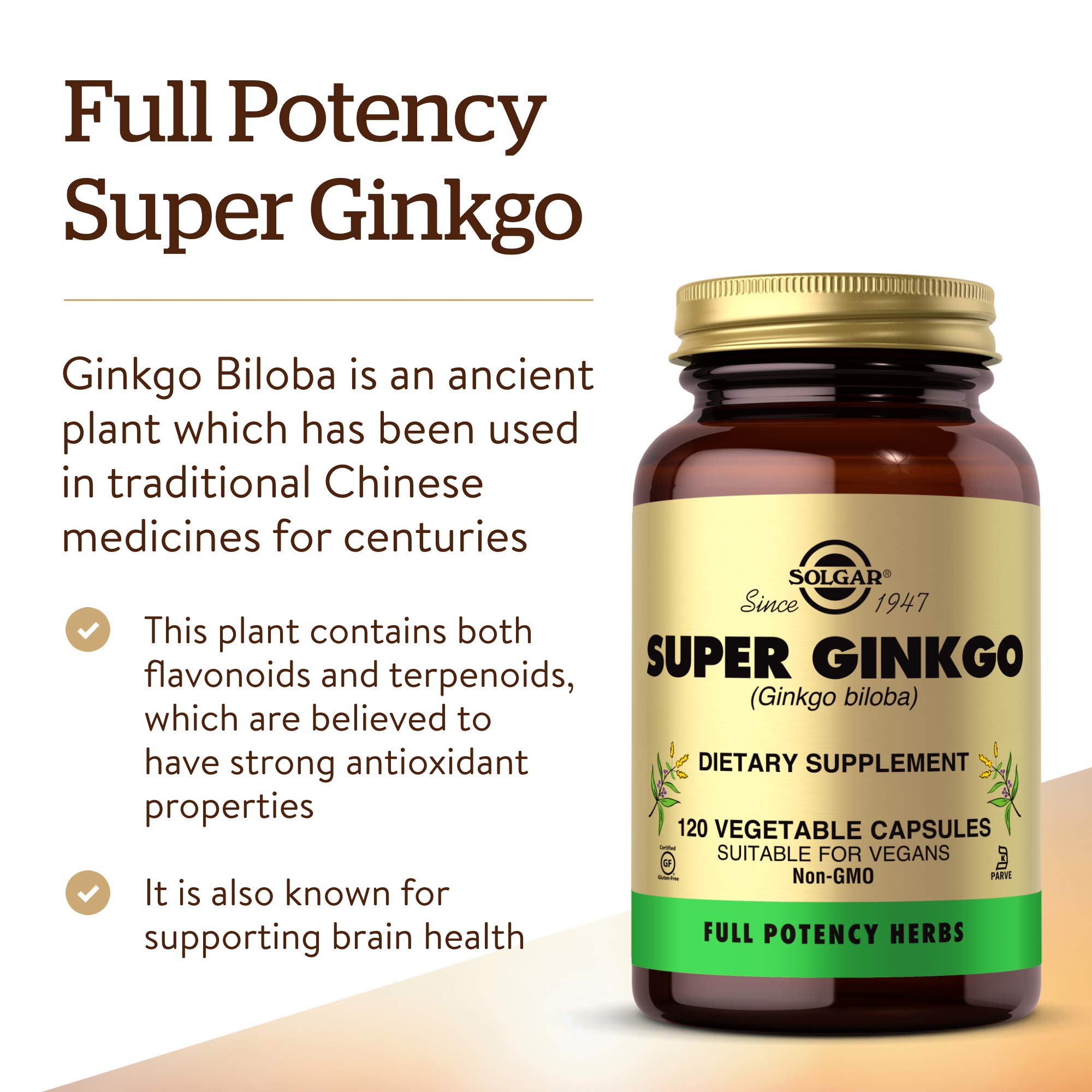 Super ginkgo Solgar