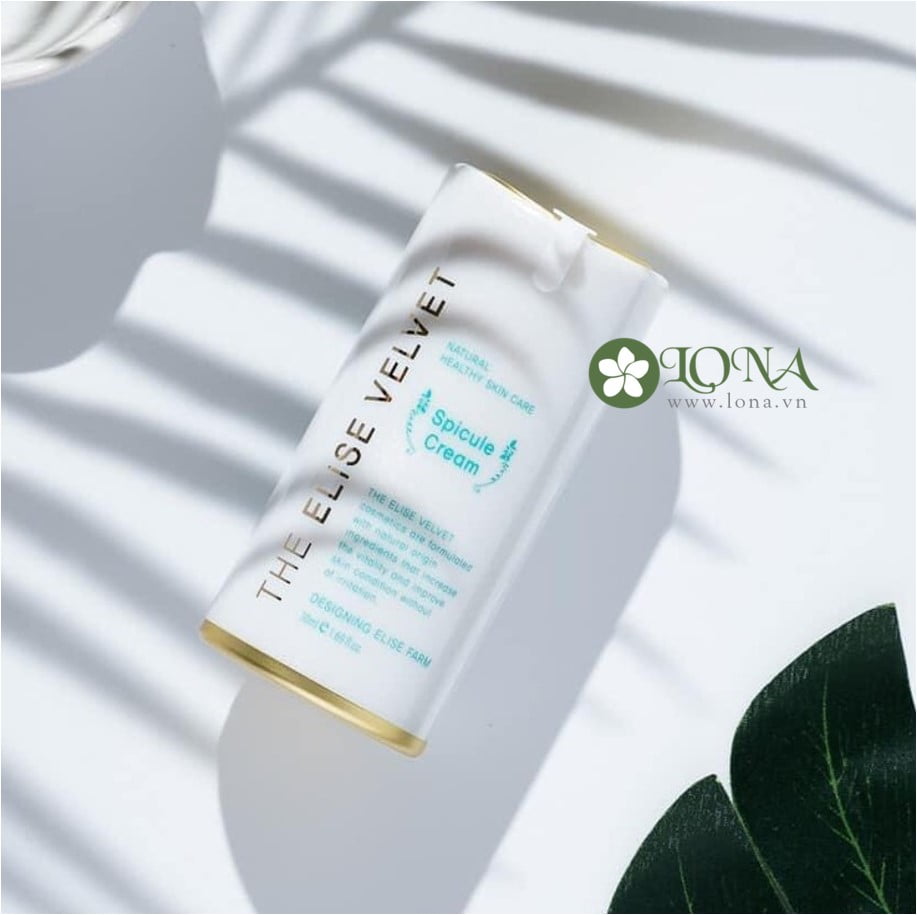 Vi kim sinh học Nano The elise velvet Spicule Cream 