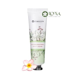 Houttuynia Cordata Ferment Spot Cream Zymogen Kem Trị Mụn, Houttuynia Cordata Ferment Spot Cream Zymogen Kem Trị Mụn, Sáng Da - 30ml – Kem dưỡng da cho da hỗn hợp nhờn