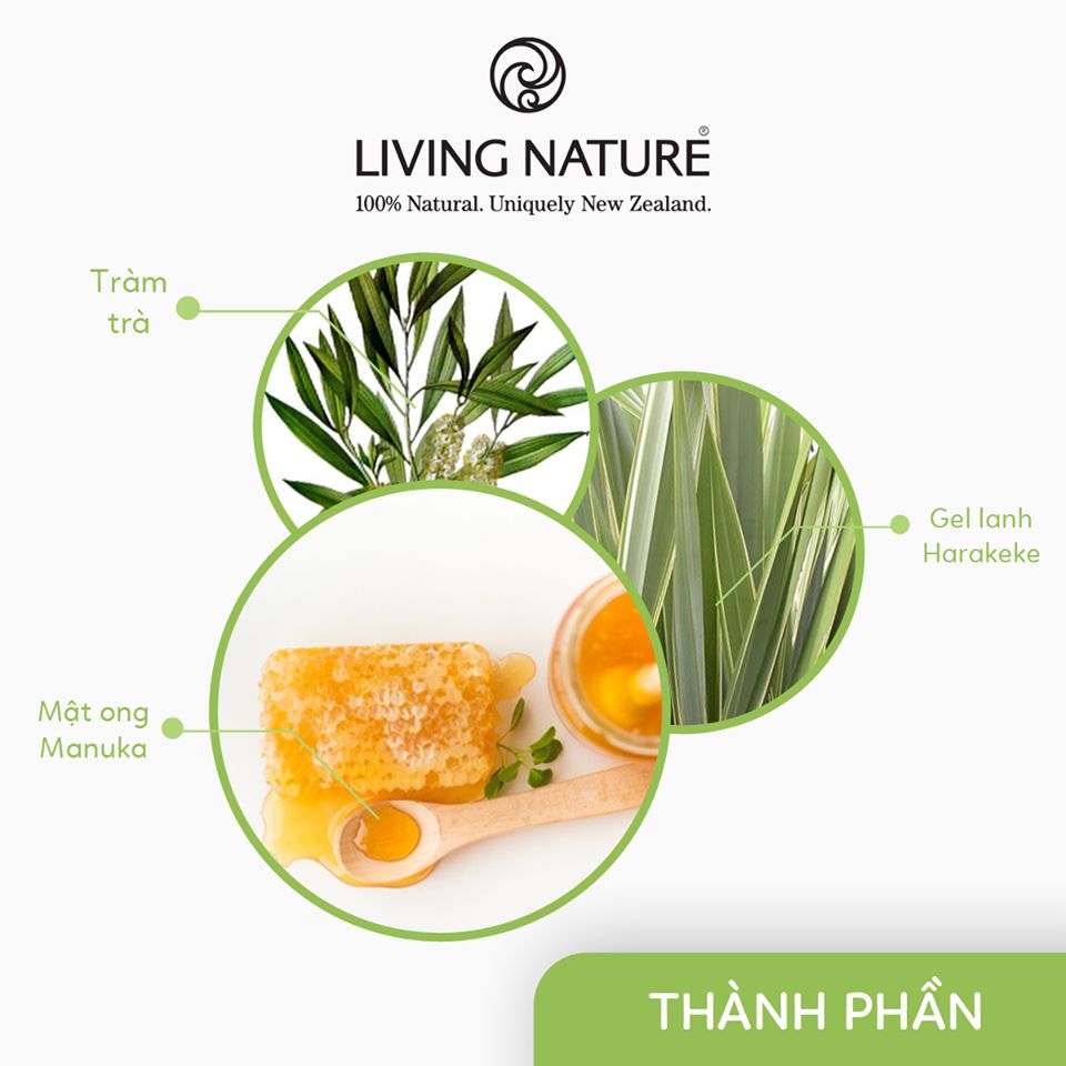 Thành phần của kem trị mụn manuka honey