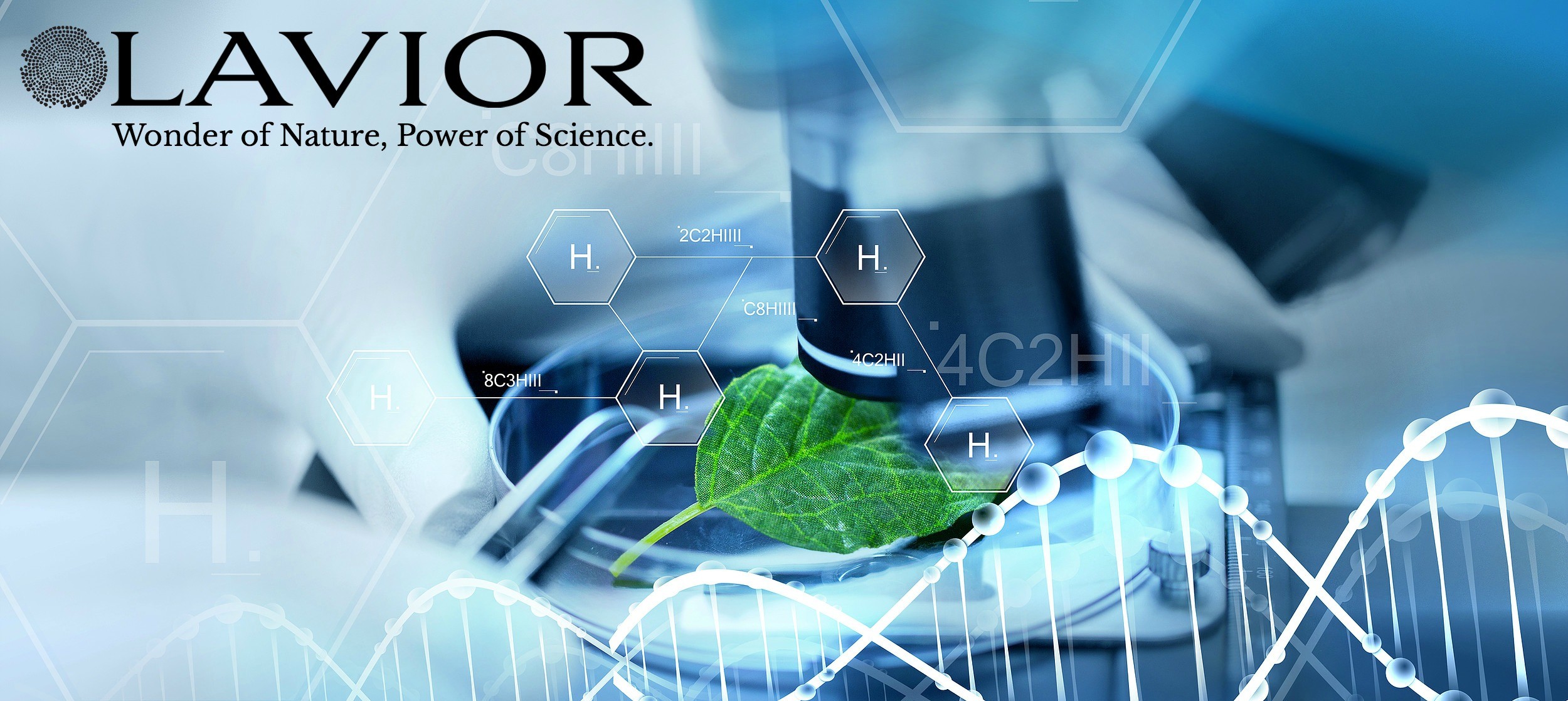 Gel trị loét lavior