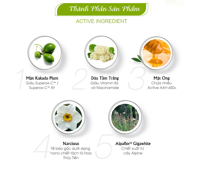 Thành phần chính của Kem Trị Nám Dark Spot Remover