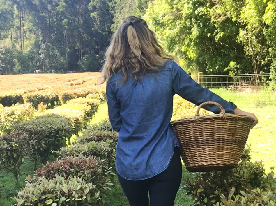 Viên Uống Trị Nấm Phụ Khoa Candida – Kolorex Advanced