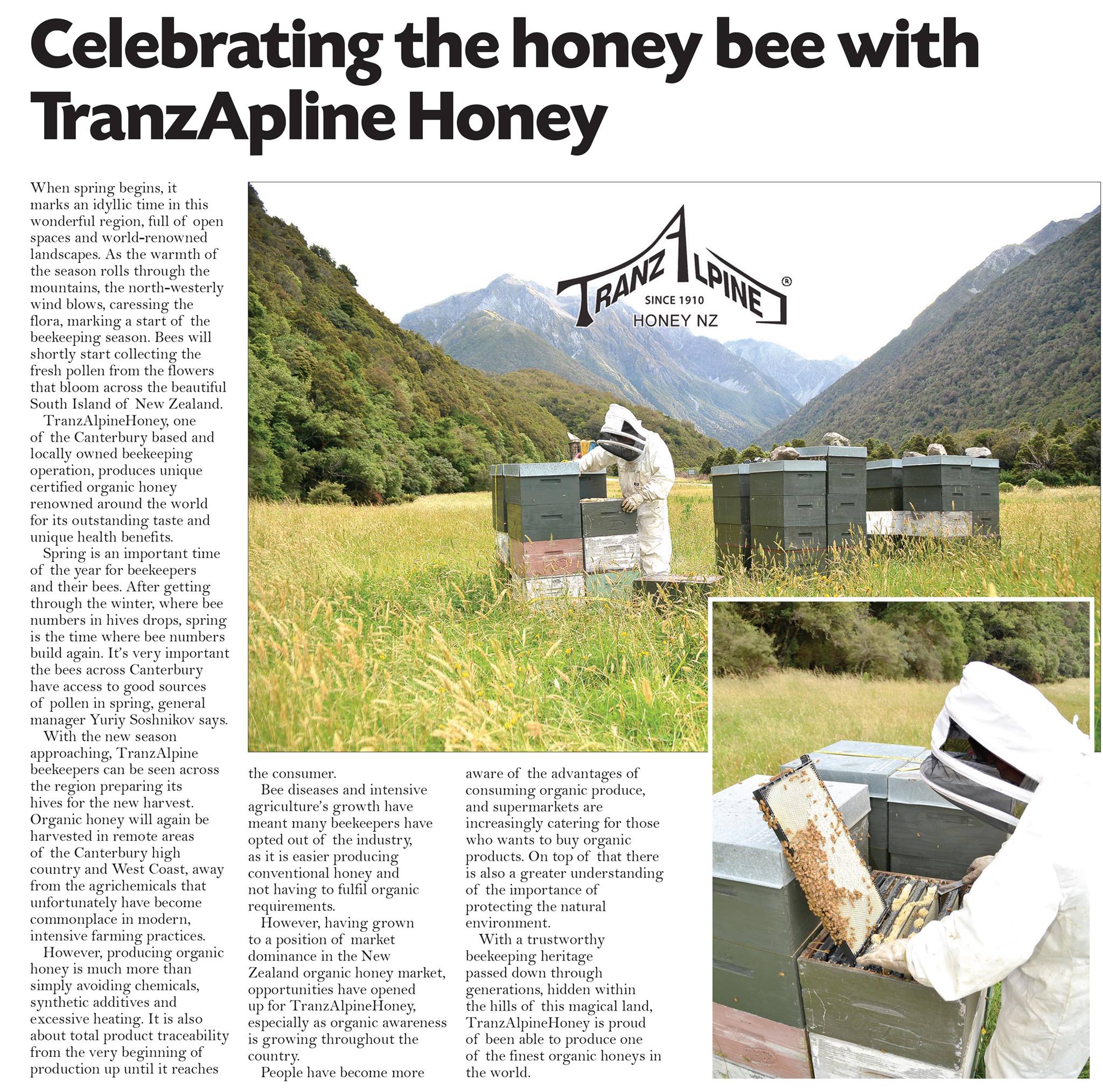 Mật ong Manuka MG550+ Organic Manuka Honey TranzAlpine (250g) 4