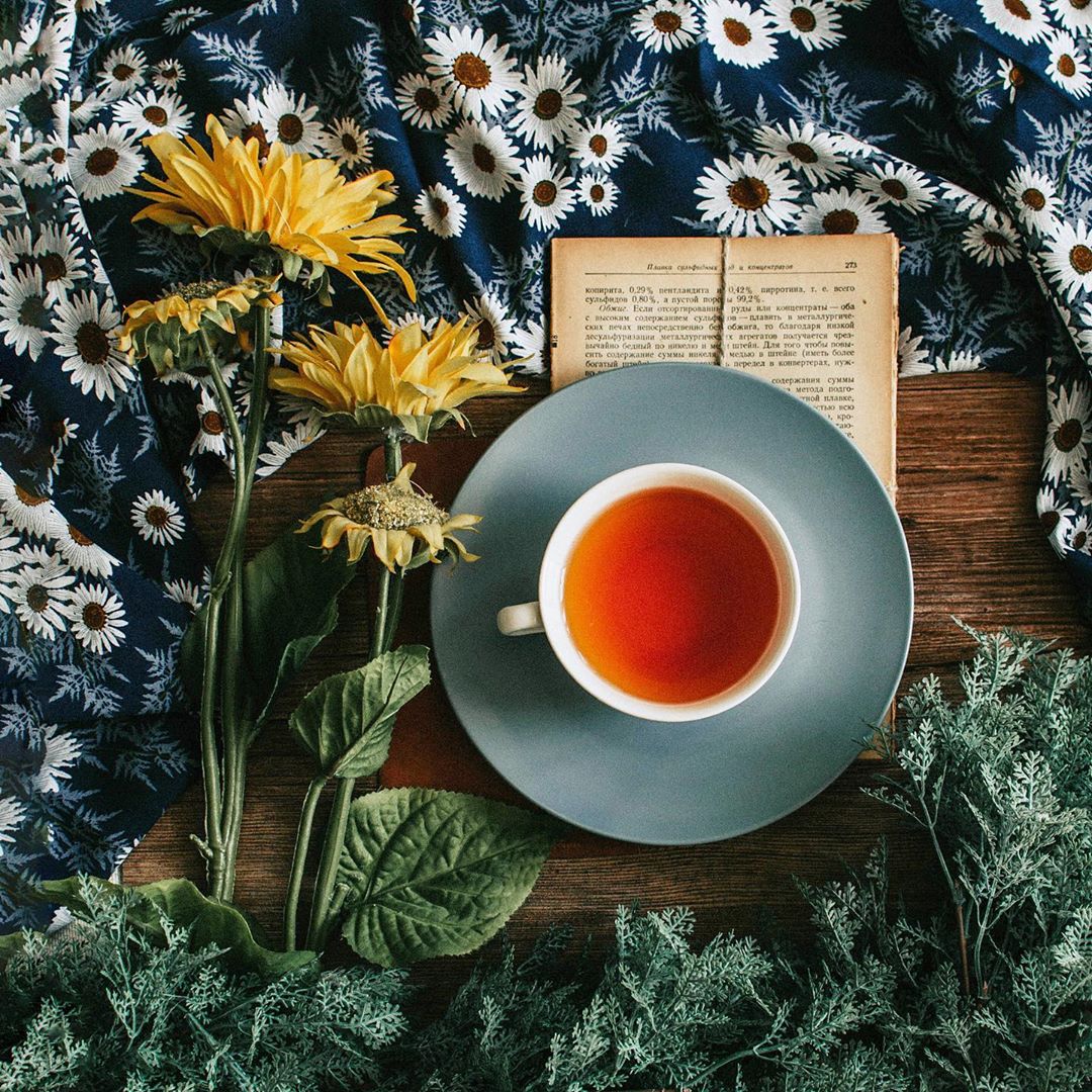 Trà ngủ ngon hữu cơ Sleep Well Tea Organic Puraty 8