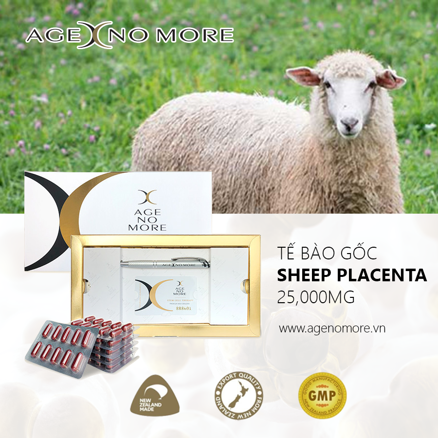 Viên uống nhau thai cừu Age No More Stem Cell