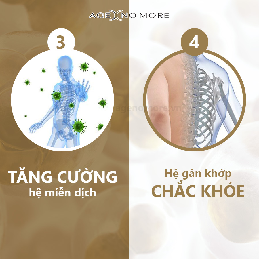 Viên Uống Nhau Thai Cừu Age No More - New Zealand 6
