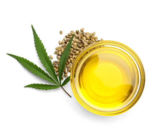  Dầu Hạt Gai Dầu Hemp Seed Oil