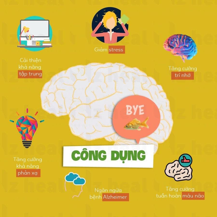 Viên Uống Bổ Não, Tăng Trí Nhớ Ginkgo Biloba NZPureHealth