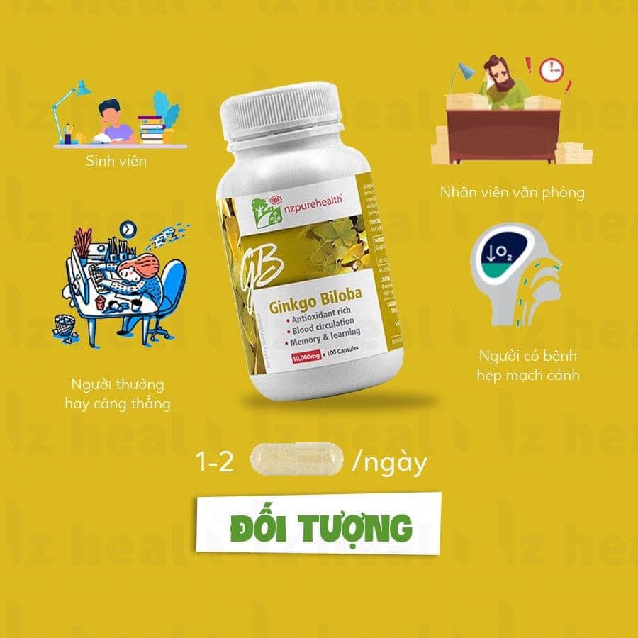 Viên Uống Bổ Não, Tăng Trí Nhớ Ginkgo Biloba NZPureHealth