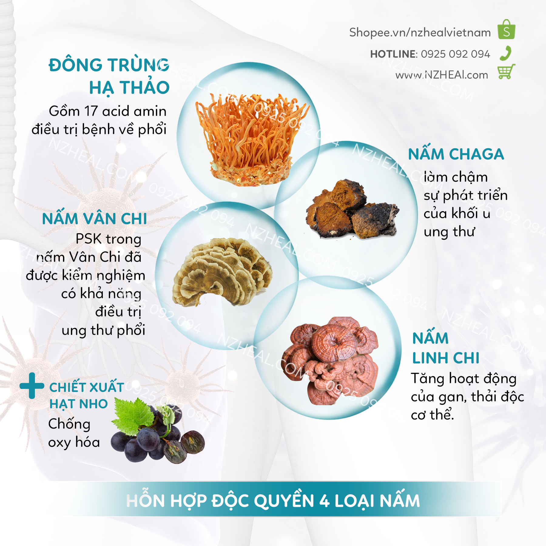 Bảng thành phần Viên Uống Bổ Phổi Xtend-Life Lung-Support Plus