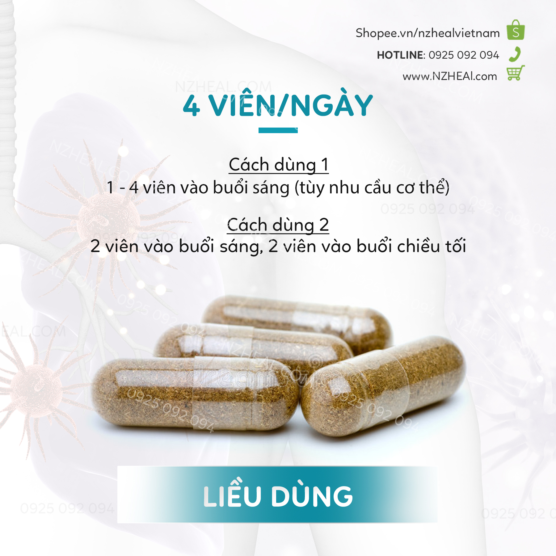 Hướng dẫn sử dụng Xtend Life Lung Support Plus