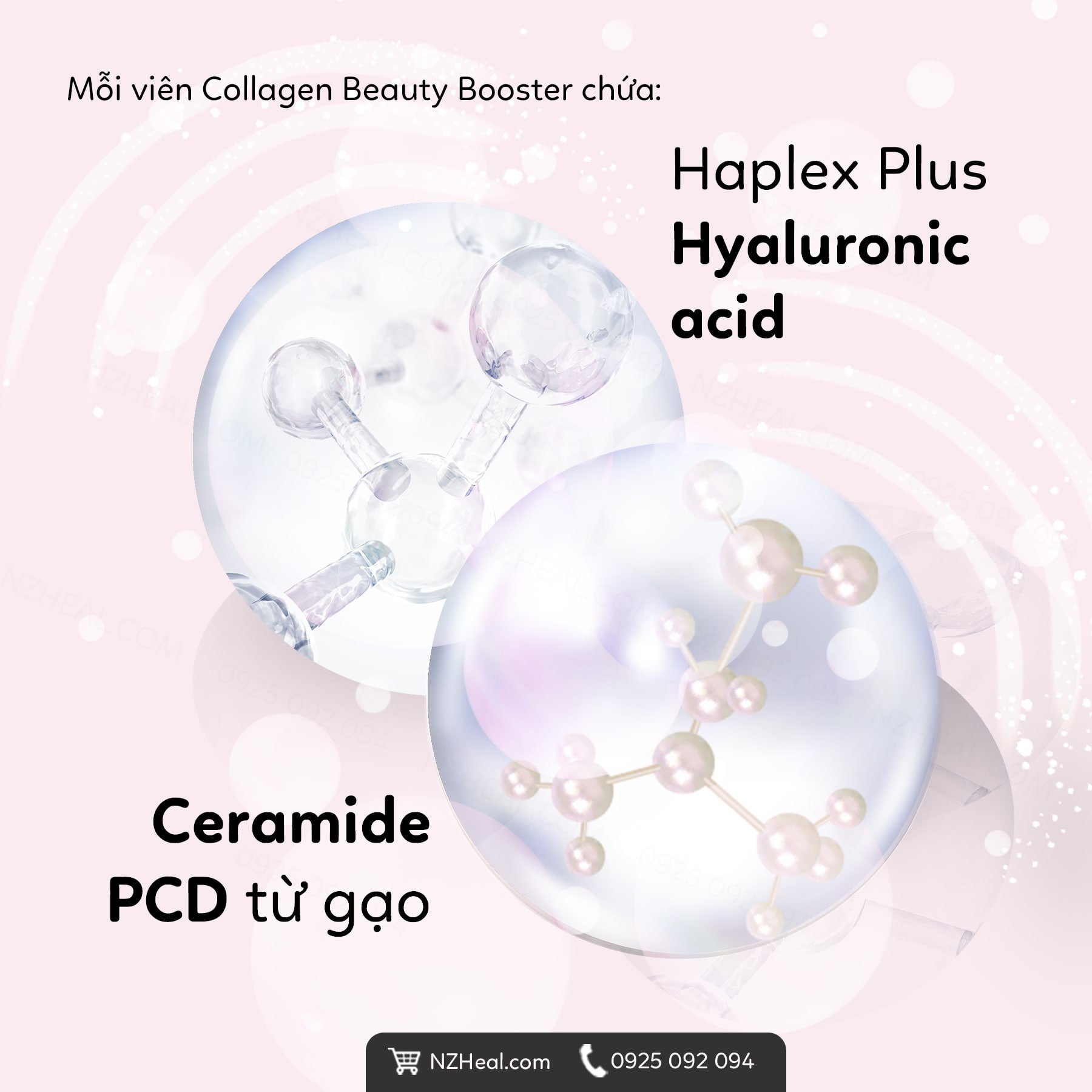 Thành phần Lifestream Collagen Beauty Booster