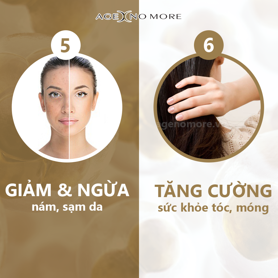 Viên Uống Nhau Thai Cừu Age No More - New Zealand 3