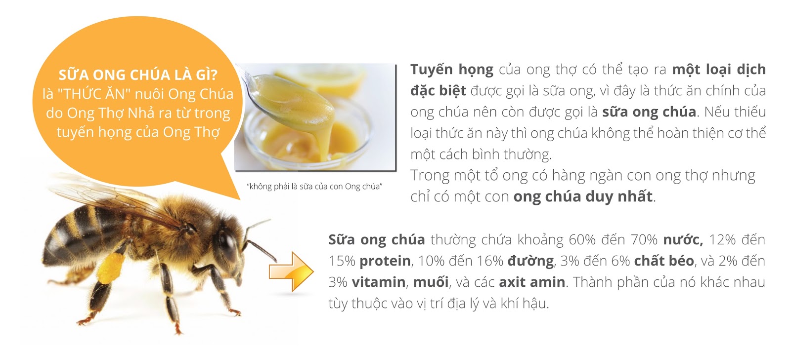 Viên Uống Sữa Ong Chúa Royal Jelly NZPureHealth