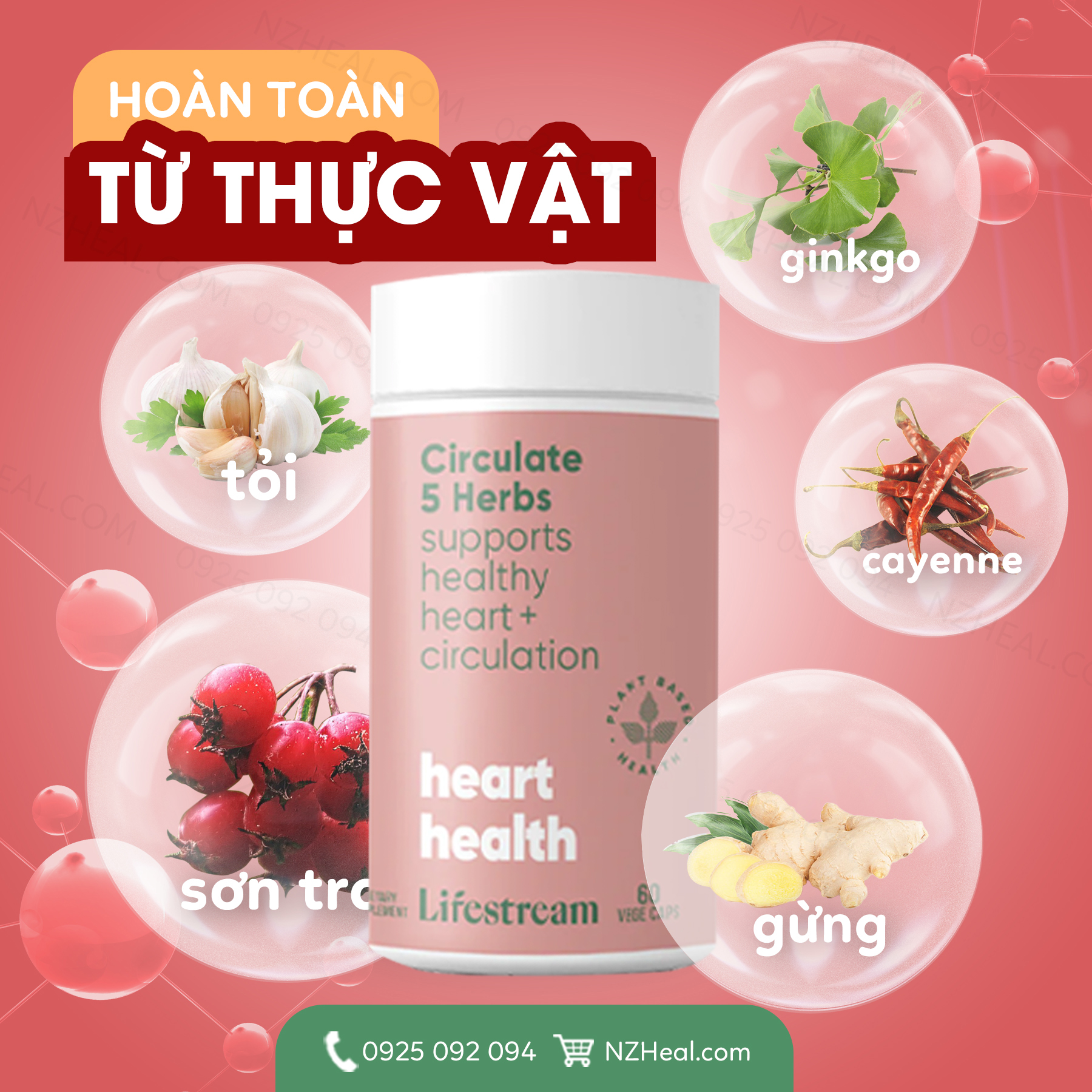 Viên uống tăng cường tuần hoàn máu Lifestream High Potency Circulate (30 viên)