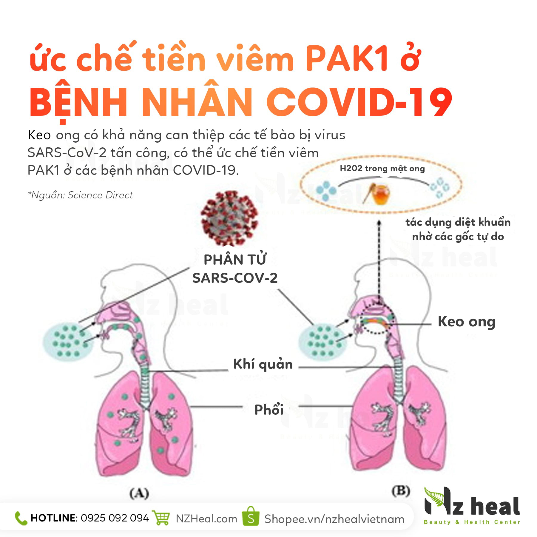 Xịt họng keo ong Deep Blue Health Propolis ngừa dịch covid 19