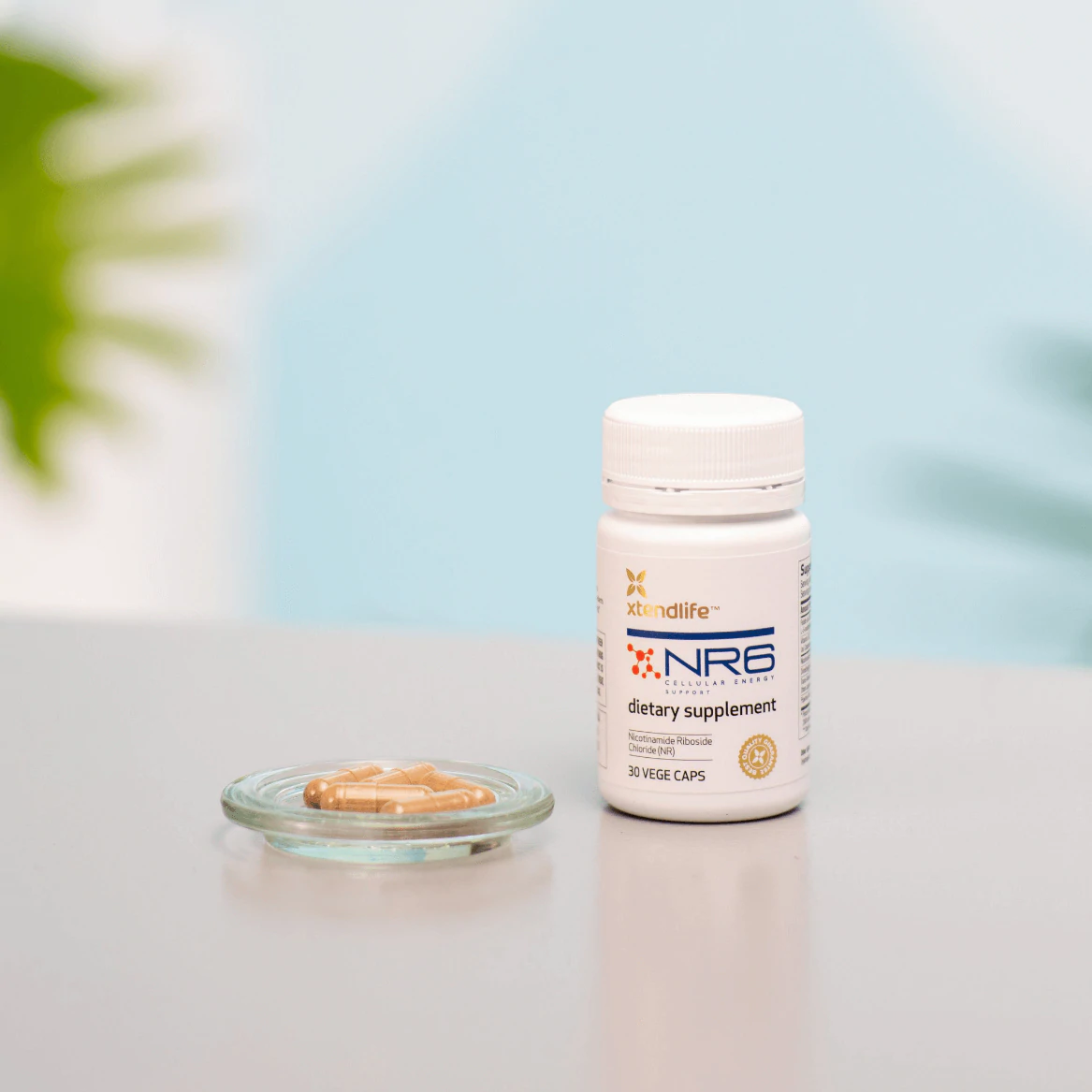 Xtend-Life NR6: tăng sinh NAD tự nhiên, chống lão hóa và tăng cường tuổi thọ