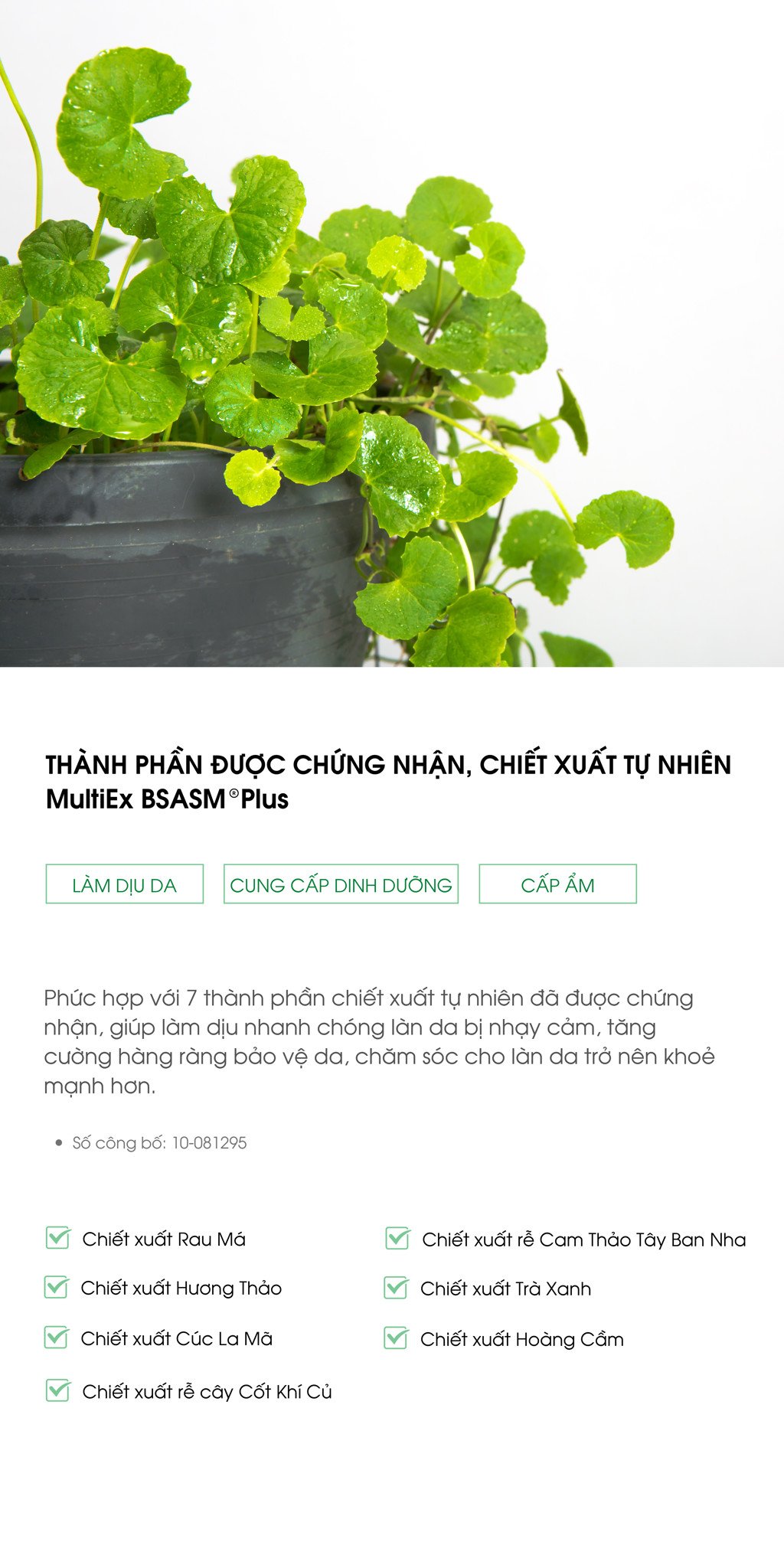 Azulene Calming Ampoule cho da mụn và da nhạy cảm