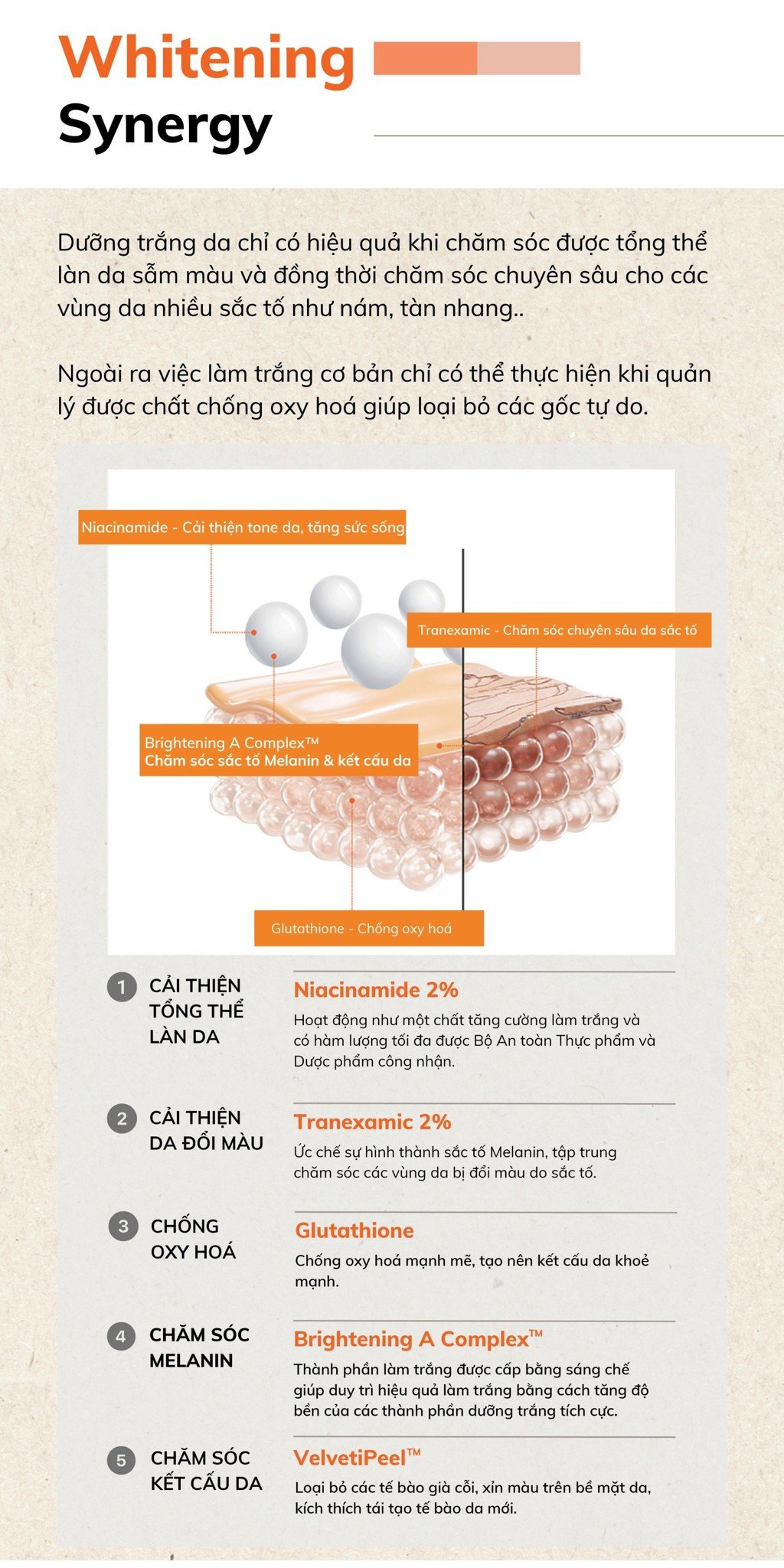 Hũ kem NTG Whitening Cream - nhìn gần