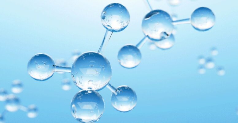 collagen thủy phân