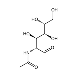 Cấu trúc phân tử Acetyl glucosamine