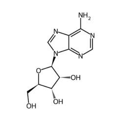 Cấu trúc phân tử Adenosine