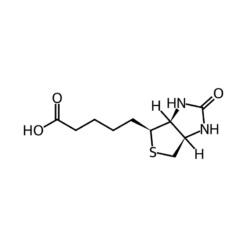 Cấu trúc phân tử Biotin