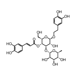 Cấu trúc phân tử Buddleja