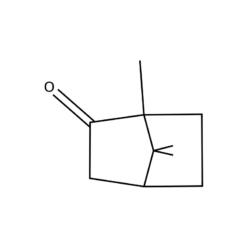Cấu trúc phân tử Camphor