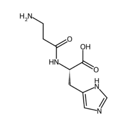 Cấu trúc phân tử Carnosine