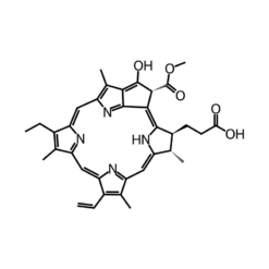 Cấu trúc phân tử Chlorella