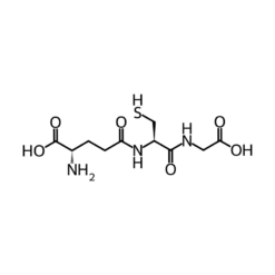 Cấu trúc phân tử Glutathione