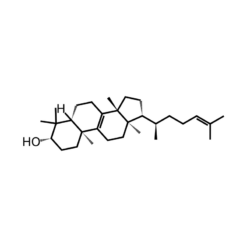 Cấu trúc phân tử Lanolin