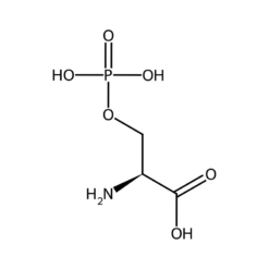 Cấu trúc phân tử Milk protein