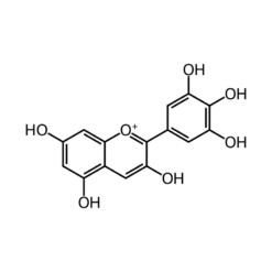 Cấu trúc phân tử Ribes