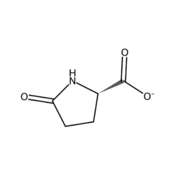 Cấu trúc phân tử Sodium PCA