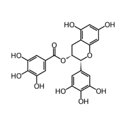 Cấu trúc phân tử White Tea
