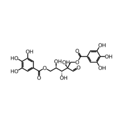Cấu trúc phân tử Witch Hazel